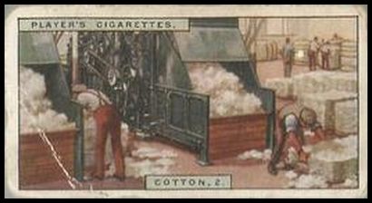 18 Cotton, 2